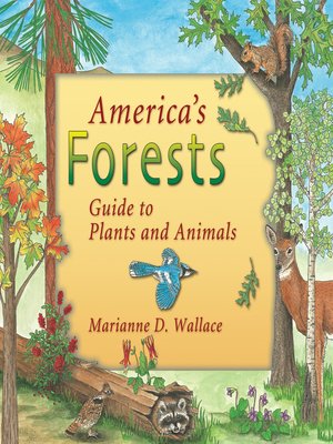 cover image of America's Forests